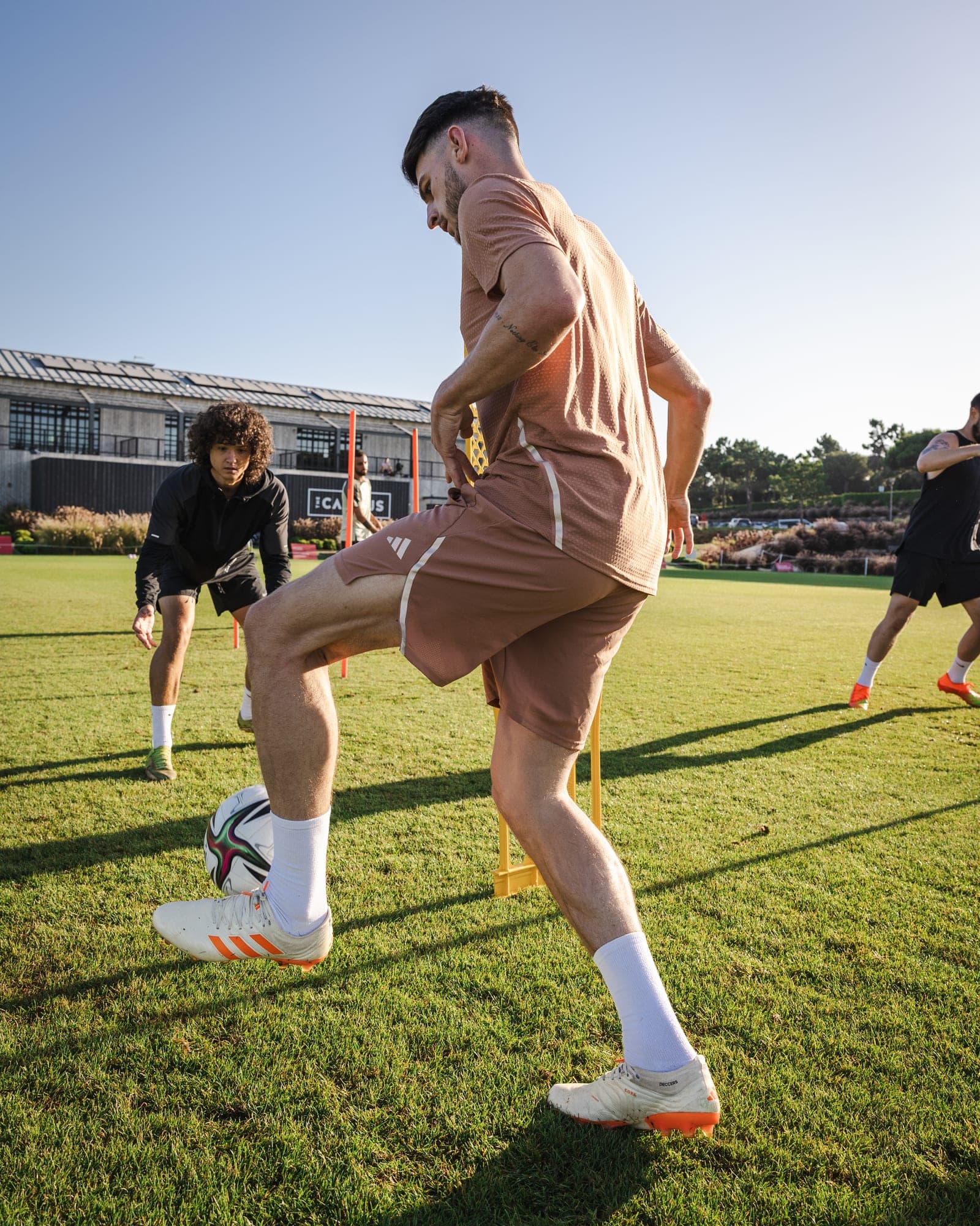 Apex Football Performance training environment